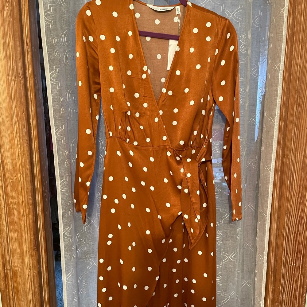 & Other Stores Polka Dot Dress